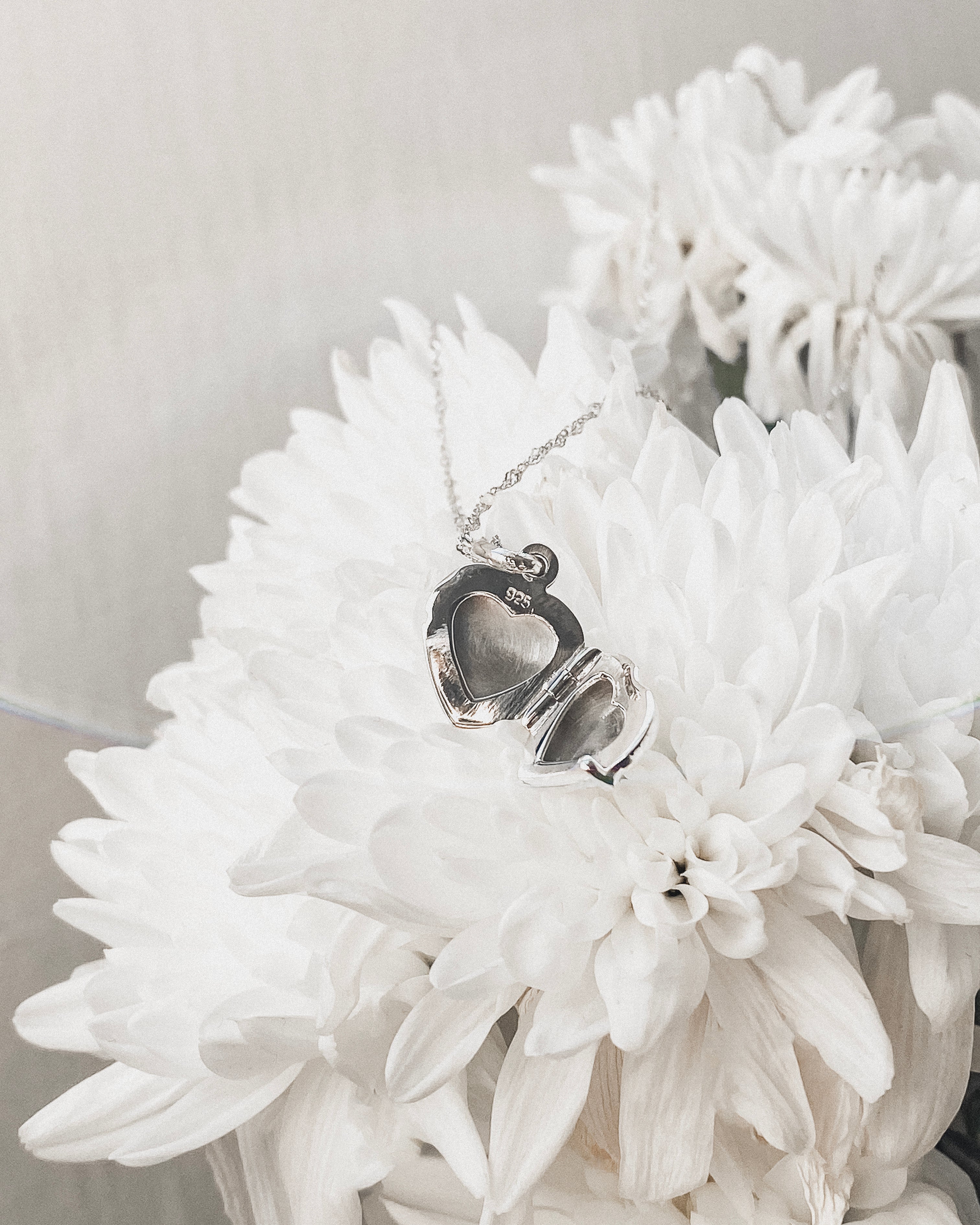 Love Heart Locket w Anne Chain